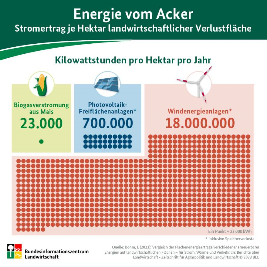 Infografik: Stromertrag je Hektar landwirtschaftlicher Verlustfläche (Foto: Bundesinformationszentrum Landwirtschaft (BZL))
