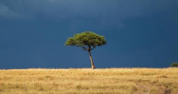 Starke Überschwemmungen in der Provinz Westkap (Foto: AdobeStock -  henk bogaard 436936928)