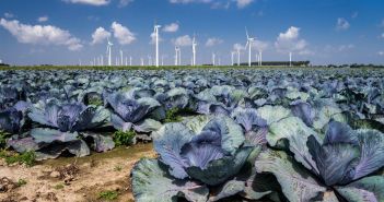 Schleswig-Holstein Netz verdoppelt Anzahl an EE-Anlagen (Foto: AdobeStock - Carl-Jürgen Bautsch 283547483)