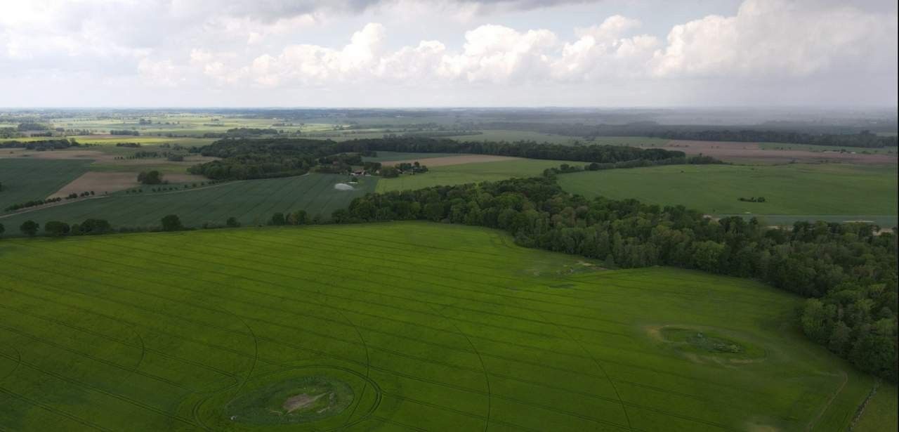 Saxovent Renewables übernimmt 81,8 MWp Solarprojekt südlich von (Foto: Saxovent Smart Eco Investments GmbH)
